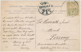 Fél, Tomásov (Pozsony, Bratislava); Rovara Frigyes kastélya, lovashintó / castle, horse chariot. pho...