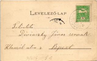 1903 Gölnicbánya, Göllnitz, Gelnica; Gyáralja nyaralótelep. Matz Gusztáv kiadása / holiday resort, v...