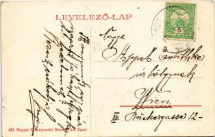 1910 Jóka, Jelka; Szék utca, Kereszt szobor, Csemez és Reisig kastély / street, castles