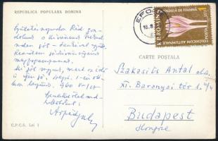 1960 Szakasits Árpád (1888-1965) politikus autográf levelezőlapja testvérének