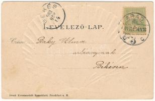 1903 Arad, Marosparti részlet evezősökkel. Kerpel Izsó kiadása, kagylós montázs, dombornyomott szece...