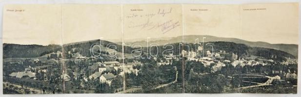1906 Borszék, Borsec; Öt részes kihajtható panorámalap. Soós kiadása / 5-tiled folding panoramacard (r)