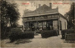 1913 Csízfürdő, Kúpele Cíz; Szoyka Pál áruháza, idény üzlete, Ilona lak / shop, villa (r)