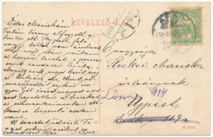 1908 Arad, Batthyányi utca, Kohn József bádogos műhelye és üzlete, Aradi nyomda kocsija / street, ti...