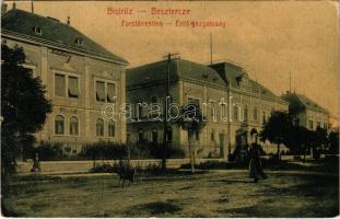 1907 Beszterce, Bistritz, Bistrita; Erdőigazgatóság. M. Haupt No. 389. (W.L.?) / Forstdirektion / forestry directorate (Rb)