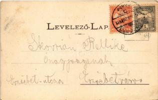 1901 Sepsiszentgyörgy, Sfantu Gheorghe; Emlékszobor. Gere István fényképész kiadása / monument. Art ...