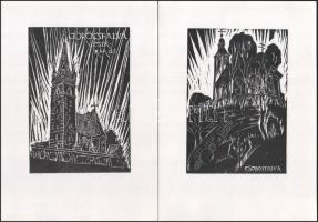 Molnár Dénes: Csíki vártemplomok. Erdély Album. [Marosvásárhely, 1993.], Impress, 2 p.+15 t. 15+2 il...