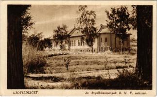 Klotildliget (Piliscsaba), Az Angolkisasszonyok B.M.V. intézete (EK)