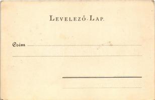 Rozsnyó, Roznava; Vásártér, piac. Pauchly Nándor kiadása, Vogel D. felvétele 1900 / market