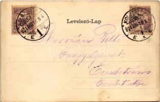 1901 Kolozsvár, Cluj; Fellegvár. Szecessziós litho montázs erdővel, Rigó Árpád kiadása / Cetatuia. A...