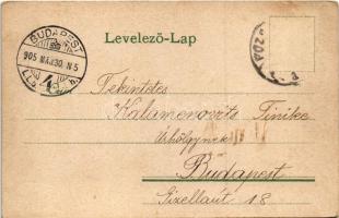 1905 Pozsony, Pressburg, Bratislava; Stefánia út, villamos / Strasse / street, tram