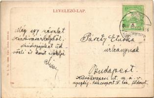 1911 Kézdivásárhely, Targu Secuiesc; utca, Győrfi Sándor hússzéke és Nagy S. Pál üzlete, lovas szeké...