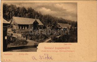 1901 Sugásfürdő, Baile Sugas (Sepsiszentgyörgy, Sfantu Gheorghe); Sass és Fülöp Villa, jegykiadás / villas, ticket office (EK)