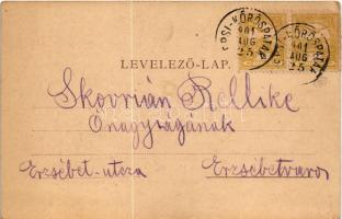 1901 Sugásfürdő, Baile Sugas (Sepsiszentgyörgy, Sfantu Gheorghe); Sass és Fülöp Villa, jegykiadás / ...