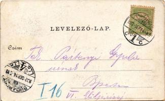 1902 Pozsony, Pressburg, Bratislava; II. Mezőgazdasági Országos Kiállítás. Frigyes főherceg, Alfa Se...