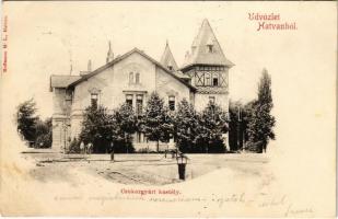 1901 Hatvan, Cukorgyári kastély. Hoffmann M. L. kiadása (fl)