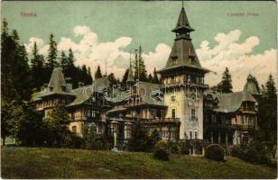 1909 Sinaia, Castelul Peles / castle. Edit. J. Alexandrescu. Fotog. A. Duschek (EK)