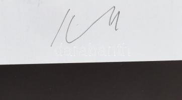 Kass János (1927-2010): Kékszakállú vára, 1992. Ofszet nyomat, papír, jelzett. Számozott: 46/1000. L...