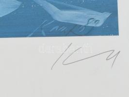 Kass János (1927-2010): Bohóc, 1992. Ofszet nyomat, papír, jelzett. Számozott: 37/300. Lap széle kis...