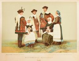 Magyarország vármegyéi és városai. Főszerk.: Borovszky Samu. 4. kötet. Nyitra Vármegye. Bp., 1899, A...