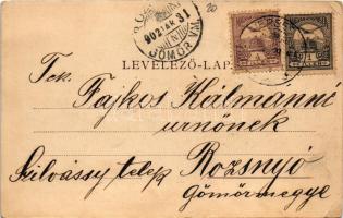 1902 Versec, Vrsac; Sétatér, piac, Lövenstein & Győri, Brüder Walke, Wassermann és Svetozer üzle...