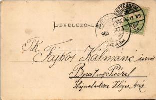 1905 Kovácspatak, Kovacov; Otthon Villa. Kardos Dezső kiadása (EK)