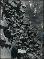 cca 1962 Budapesti Duna part, Szilárd Gyula budapesti műbútorasztalos hagyatékából 1 db jelzés nélküli, vintage fotó, ezüst zselatinos fotópapíron, 24x18 cm