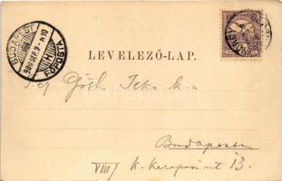 1900 Sepsiszentgyörgy, Sfantu Gheorghe; Városi színház nézőtere, előfüggönye és színpada, belső. Ben...