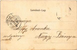 1906 Szatmárnémeti, Satu Mare; Kereskedelmi bank palota, Gyógyszertár a Szentháromsághoz, Scheiber ü...