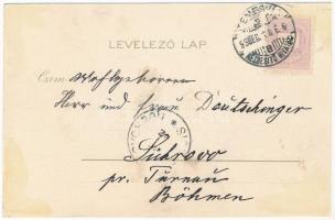 1899 (Vorläufer) Temesvár, Timisoara; Gyárváros, Római katolikus és zsidó templom, zsinagóga. Corvin...