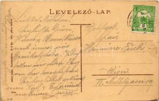 1915 Érmihályfalva, Valea lui Mihai; Fő tér, üzlet. Glück Lajos kiadása / main square, shop