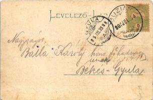 1905 Buziás, Ligeti vendéglő kertje. Montázs / park restaurant's garden. montage (EK)