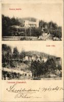 1913 Csucsa, Ciucea; Boncza kastély, Lázár villa / castle and villa