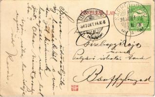 1913 Csucsa, Ciucea; Boncza kastély, Lázár villa / castle and villa