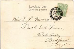 1908 Fiume, Rijeka; Virágkarnevál 1903-ban, feldíszített kocsi / Carnevale. Celso Capudi / flower ca...