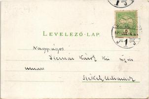 1906 Marosvásárhely, Targu Mures; Erzsébet liget / park