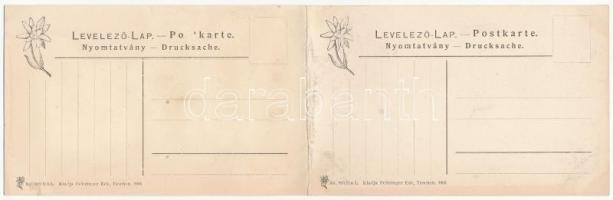 Rózsahegy, Ruzomberok (Liptó); látkép az iparvasúttal és zsinagógával. Feitzinger Ede 1905. No. 893/...