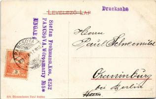 1908 Pancsova, Pancevo; M. kir. selyemfonógyár. Miloszavljevics Vazul kiadása / K. ung. Seidenspinne...