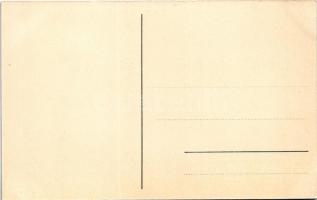 Újvidék, Novi Sad; Petőfi utca / street