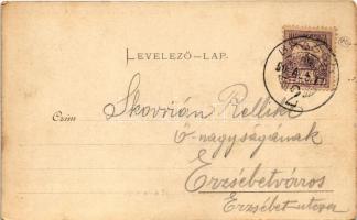 1900 Brassó, Kronstadt, Brasov; M. kir. pénzügyi palota / Finanzpalais. Julius Müller's Nachfol...
