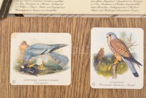 cca 1960-70 3 db ornitológiai fali iskolai illusztrált segédtábla madárfajokkal és azok leírásával, ...