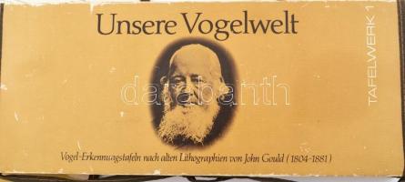 cca 1960-70 3 db ornitológiai fali iskolai illusztrált segédtábla madárfajokkal és azok leírásával, ...