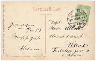 1909 Nagyvárad, Oradea; Szent László tér, piac, villamos, Rosenberg József férfi szabó üzlete. Kapha...