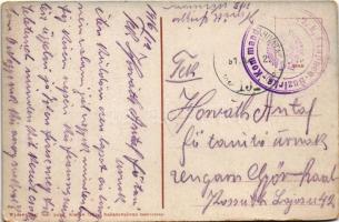 1916 Ivano-Frankivsk, Stanislawów, Stanislau; Ratusz / Rathaus / town hall (tears)