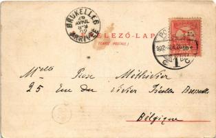 1902 Pozsony, Pressburg, Bratislava; Die Donau / Duna térképe / Danube river map. Künzli Nr. 4605. A...