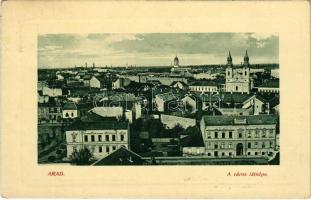 1910 Arad, város látképe, Lux Udvar. W.L. Bp. 234. Mandl Ignác kiadása / general view