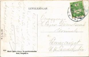 1910 Arad, város látképe, Lux Udvar. W.L. Bp. 234. Mandl Ignác kiadása / general view