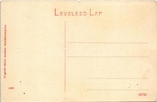 Dicsőszentmárton, Tarnaveni, Diciosanmartin; Elmegyógyintézet, tébolyda. Jeremiás Sándor kiadása 183...