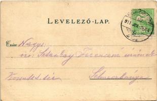 1911 Arad, Maros part, igazságügyi palota, uszoda. Rüger G. és Társa kiadása / Mures riverside, swim...