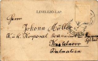 1904 Karánsebes, Caransebes; Orsovai út, Ludwig B. üzlete. H. Rosenfeld kiadása / street, shop (fa)